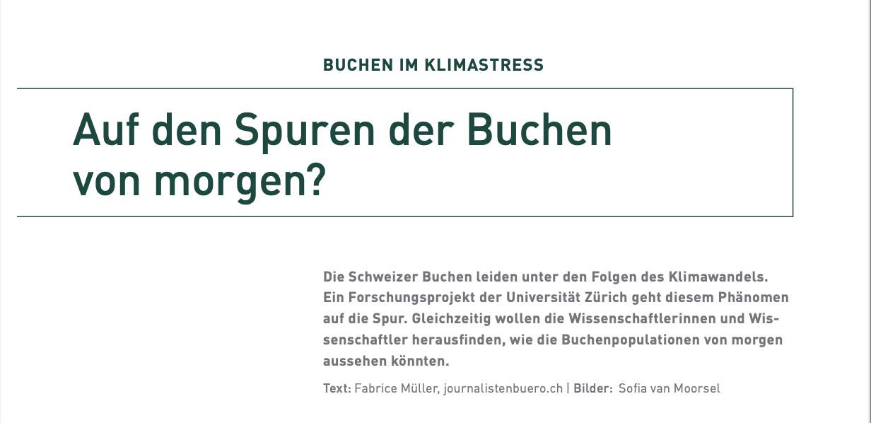 Screenshot%202025-10-23%20at%2016.34.53